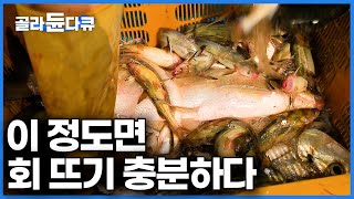 임진강에서 퍼올린 그물에 횟감이 가득.. 임금님만 먹었다는 전설의 물고기로 저녁 밥상 차리기ㅣ한국기행ㅣ#골라듄다큐