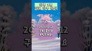 하루 1분, 띠별 운세 (2025.02.12) #하루운세 #띠별운세 #쥐띠 #소띠 #호랑이띠 #토끼띠 #용띠 #뱀띠 #말띠 #양띠 #원숭이띠 #닭띠 #개띠 #돼지띠