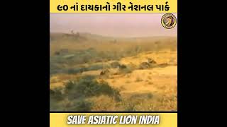 ૯૦ નાં દાયકાનો ગીર નેશનલ પાર્ક (ભાગ: ૧)Gir National Park in the 90s (Part: 1)Save Asiatic Lion INDIA