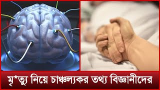 মৃ/ত্যু/র ঠিক আগমুহূর্তে কী ঘটে, জানালেন বিজ্ঞানীরা | News