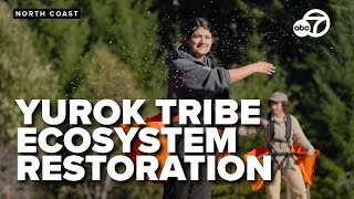 Yurok Tribe Employs Innovative Approach to Ecosystem Restoration