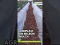 Agriplast Orchard Mulch #shorts