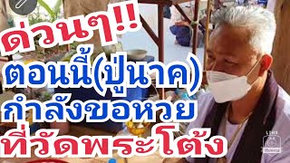 ดูด่วนๆ!!ตอนนี้(ปู่นาค)กำลังทำพิธีขอหวยที่วัดพระโต้งงวด16สค64