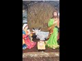 Christmas Cribe | Nativity Scene |#shorts