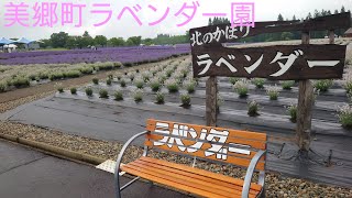 美郷町ラベンダー園　美郷町