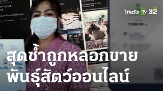 เตือนภัย สุดซ้ำถูกหลอกขายพันธุ์สัตว์ออนไลน์ | 08-03-66 | ข่าวเที่ยงไทยรัฐ