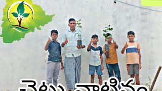 హరితహారం/చెట్లు నాటినం/village pure natural videos/దయచేసి చెట్లు నాటండి.