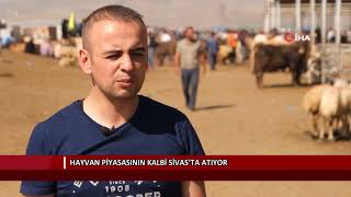 Hayvan piyasasının kalbi Sivas’ta atıyor