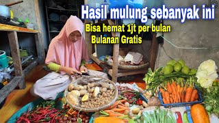 KALIAN MAU JADI TETANGGA KAMI⁉️ BANYAK SAYUR DI RUMAH AMBIL AJA