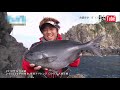 【 fishing】高知県 宿毛市で　オナガグレ釣りを楽しむ～enjoy black rockfish fishing in sukumo city kochi