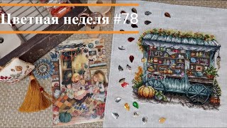 Цветная неделя 78//14.11.24-20.11.24. Айне, Зайцева, Риолис, Овен, Золотова, В. Кузнецова, Ветланка