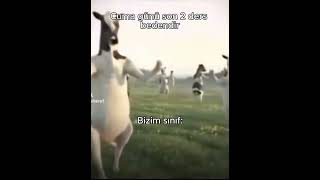 Bizim sınıf #edit 😂😂😂