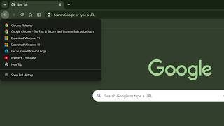 How to Show Your Browsers Back Button History (to Escape Back Button Hijacking!)