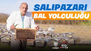 Salıpazarı Kestane Balı  |  SBB Belgesel