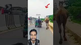 এই ভাইটি কে সারা জীবন মানুষ মনে রাখবে। 😭 #shortsvideo #facts #viralvideo #shorts