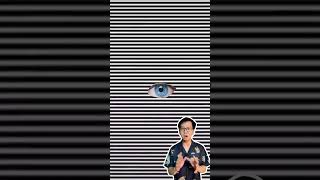 ภาพลวงตา#illusion#opticalillusion