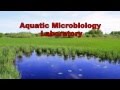 EMSL's Aquatic Microbiology Laboratory