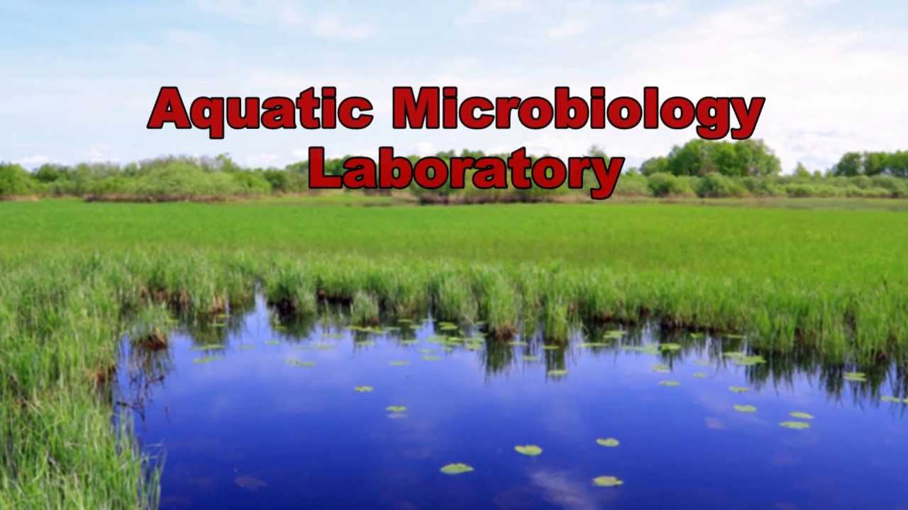 EMSL's Aquatic Microbiology Laboratory - YouTube