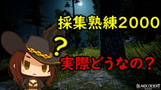 【黒い砂漠PC】採集民の砂漠！採集熟練2000は美味しい？【ゆっくり実況】