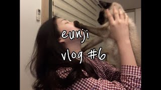 eunji vlog #6 | 2021 새해에도 변함없는 집순이의 쌩얼로그 🏠