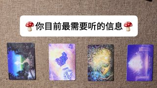 CC字幕｜占卜🔮在這個時候，你需要听的信息🧚（刷到這個視頻絕非偶然💯）