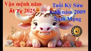 Tử vi Tuổi Kỷ Sửu 2009 Nam mạng năm Ất Tỵ 2025. Sự nghiệp, tài vận, tình duyên và gia đạo.