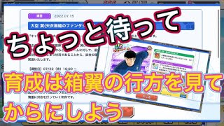 たたかえドリームチーム第692話　箱翼が調整ってマジ⁉︎選手育成は来週まで待った方がいいかも⁉︎リバウール考察＆箱翼が調整についての話。