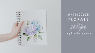 How To Paint Hydrangeas: Watercolor Florals Episode Seven