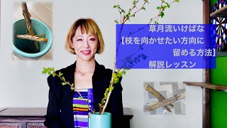 枝を向かせたい方向に留める方法★草月流いけばな小技集【生け花・解説レッスン】草月流むらもと翠亜