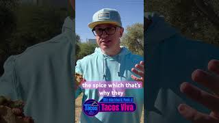 Best Tacos in Phoenix Arizona? Tacos Viva Chicken Taco #besttacos #tacoreview