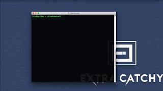 Check What Version of Python in Your macOS (Step-by-Step) [Terminal]