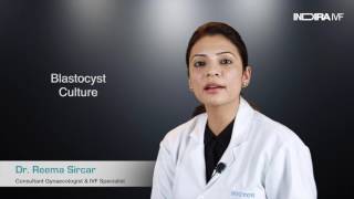 Increasing test tube baby success with Blastocyst | Dr Reema Sircar | Indira IVF