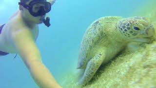 Perhentian Tuna Bay, DIVING @Cheng Pai Voyage