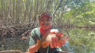 KAYAK FISHING AT CHAPMAN FIELD PARK: A DAY OF ADVENTURE