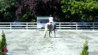 Cathie and Dawson - Canadian Cup Show