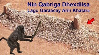 Ninkii La Amray Qabriga in Lagu Dhex Garaaco 100 Jeedal aya Ku Dhacday Sabab Khatar ah Arag