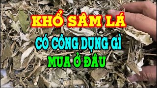 Khổ sâm - Khổ sâm có tác dụng gì - Khổ sâm mua ở đâu - Khổ sâm chữa bệnh tim