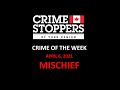 April 6, 2021 | Crime Stoppers Crime Of The Week