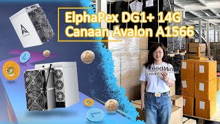 ElphaPex DG1+ 14G \u0026 Avalon A1566