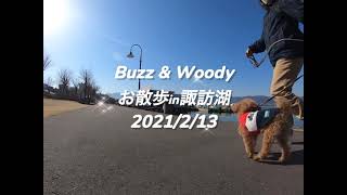 BuzzとWoody お散歩in諏訪湖　2021/2/13