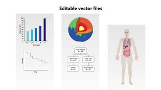 Vector Files - What are vectors, and how should they be saved?