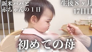 【毎日更新】いちごを初めて食べた日【生後8ヶ月18日目】｜赤ちゃん｜かわいい｜新米パパの奮闘記｜初育児｜A FULL DAY WITH A 8 MONTHS OLD BABY