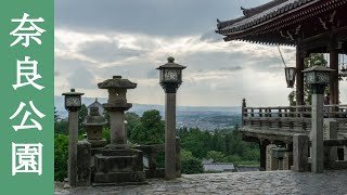 【スナップ写真】奈良公園　～浮雲園地、萬葉植物園、東大寺～【風景写真】