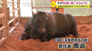 The National Wagyu Talent Exhibition will soon be held in Kagoshima ``I'm definitely going to win!''