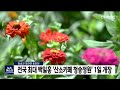 산소카페 청송 정원 1일 개장 안동mbc