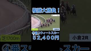 【競馬】馬券勝負！複勝52,400円買ってみた！