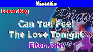 Can You Feel The Love Tonight by Elton John (Karaoke : Lower Key)