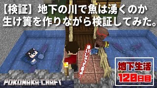 マインクラフト┃地下の川で魚は湧くのか検証！地下生活120日目/ぽこなかくら#370