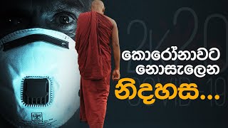 නිදහස සොයා... ‍| කොරෝනා වලට නොසැලෙන නිදහස | A freedom that no COVID can shake