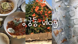 [Korea Vlog] Special Travel Spot in Spring | Suwon Haenggung-dong